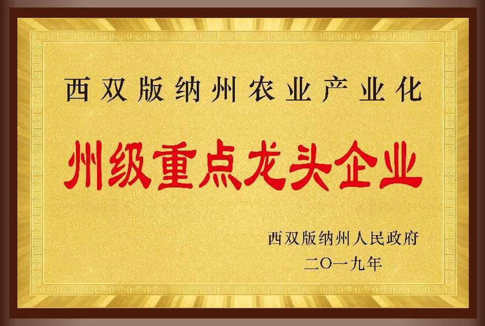 州級(jí)重點(diǎn)龍頭企業(yè)