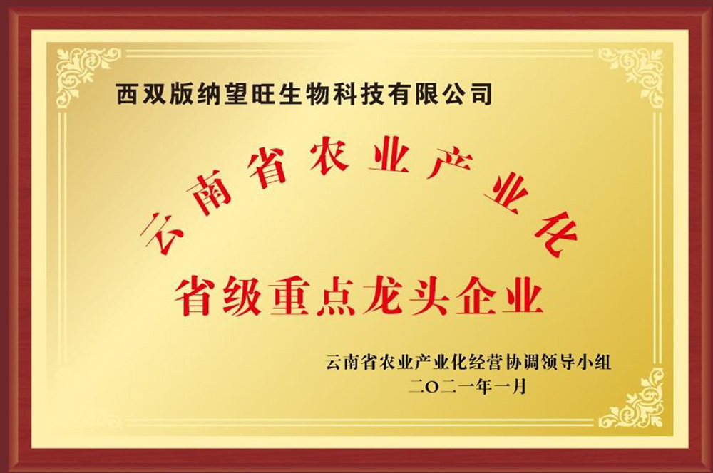 省級(jí)重點(diǎn)龍頭企業(yè)