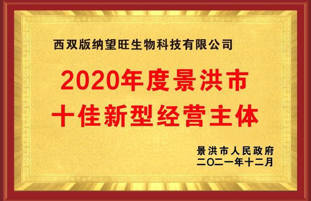 2020年度景洪市十佳新型經(jīng)營(yíng)主體