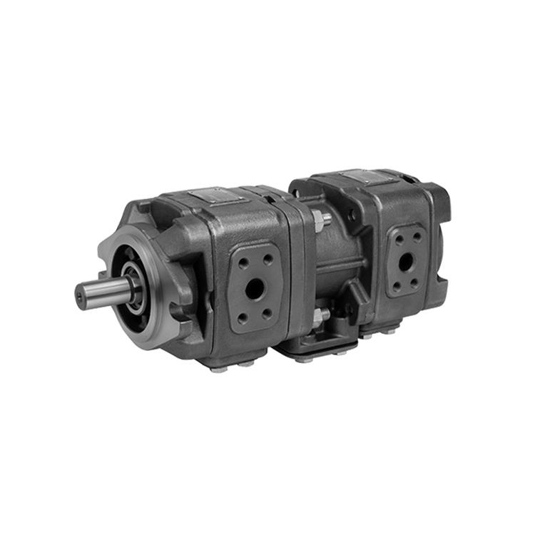 YLH21 Internal Gear Pump - Spare