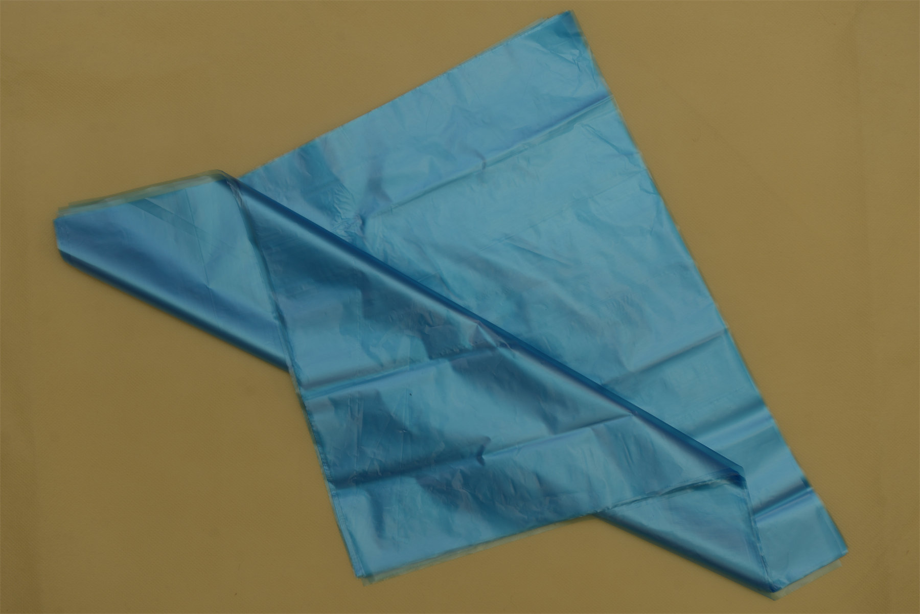 Diaphragm