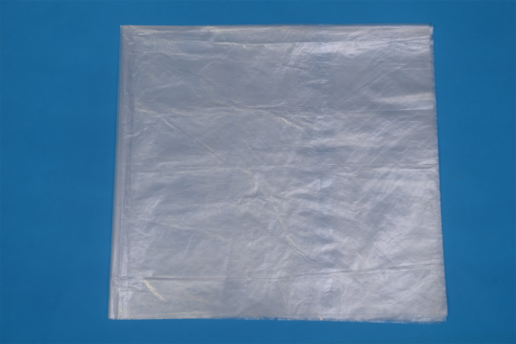 Diaphragm
