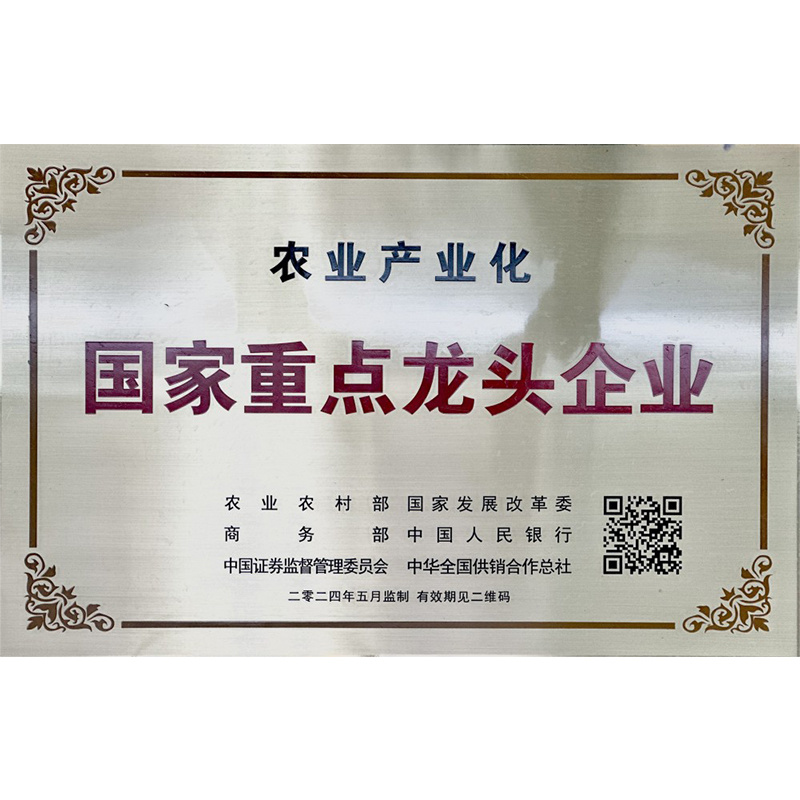 國家重點(diǎn)龍頭企業(yè)