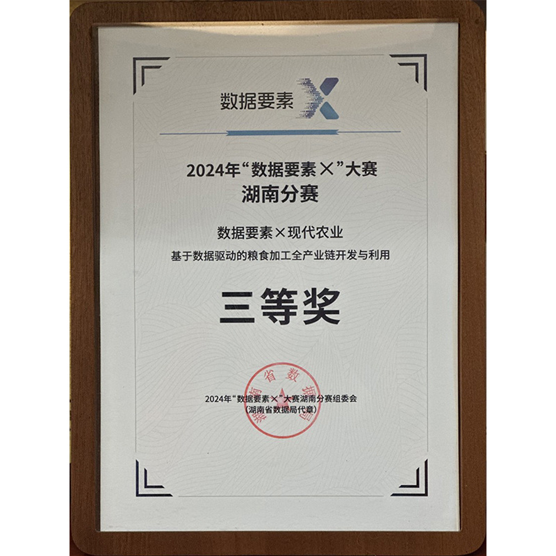 2024年“數(shù)據(jù)要素×”大賽 三等獎