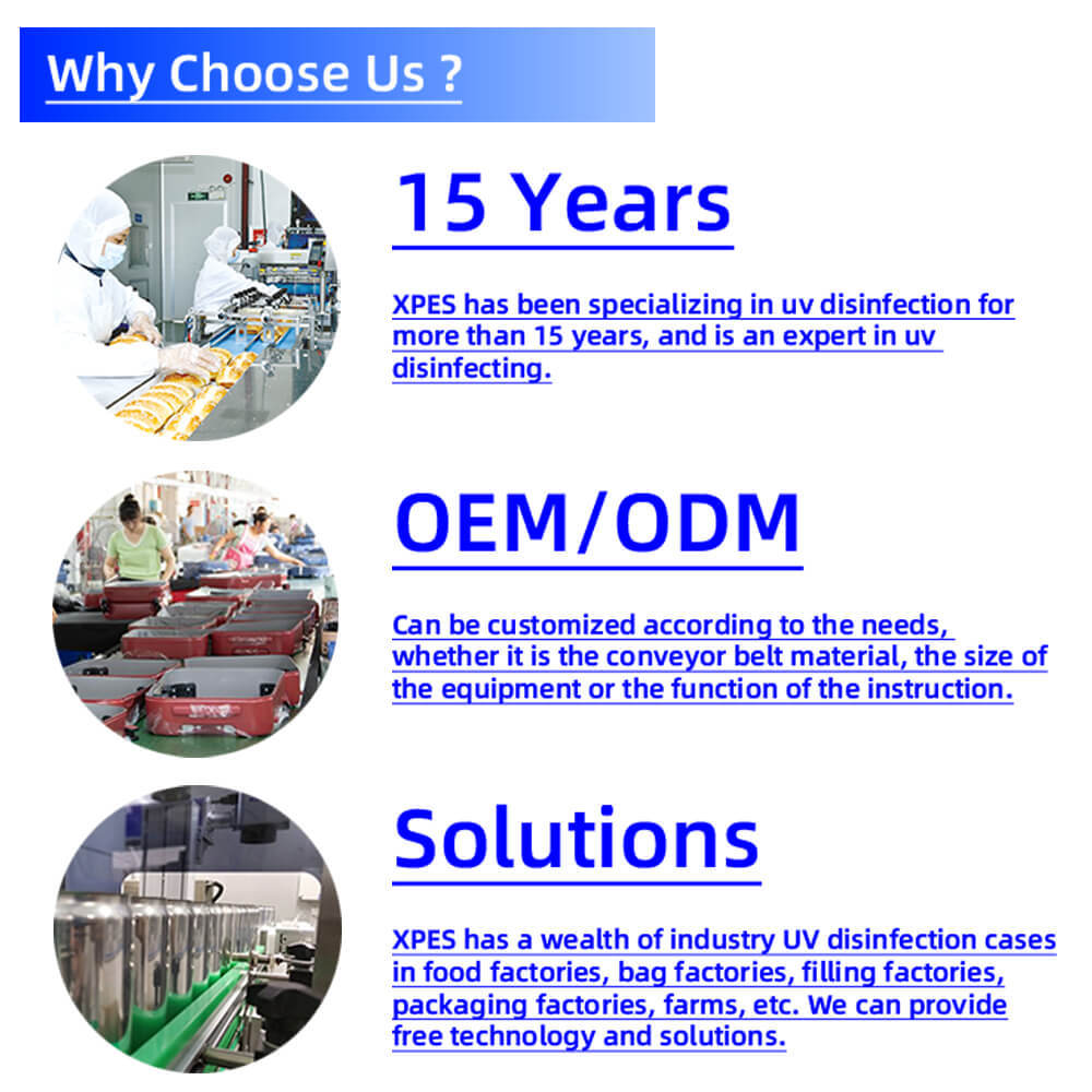 disinfection conveyor