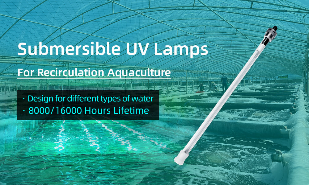 submersible uv lamp