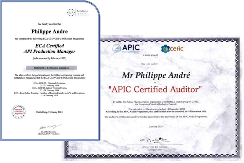 Auditor Team
