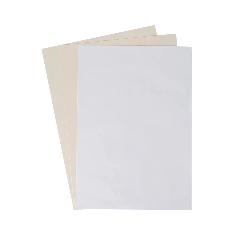 Dictionary Bible Paper