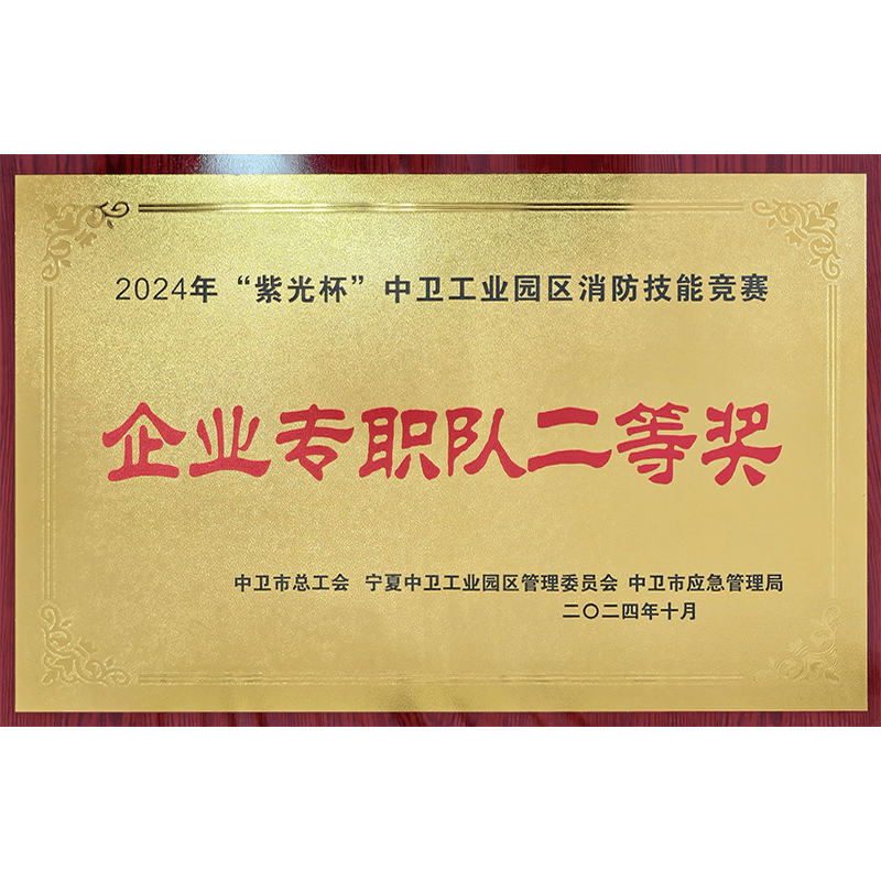 紫光杯中衛(wèi)工業(yè)園區(qū)消防技能競(jìng)賽企業(yè)專職隊(duì)二等獎(jiǎng)