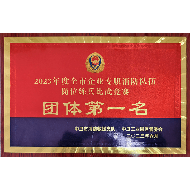 全市企業(yè)專職消防隊(duì)伍崗位練兵比武競(jìng)賽團(tuán)體第一名