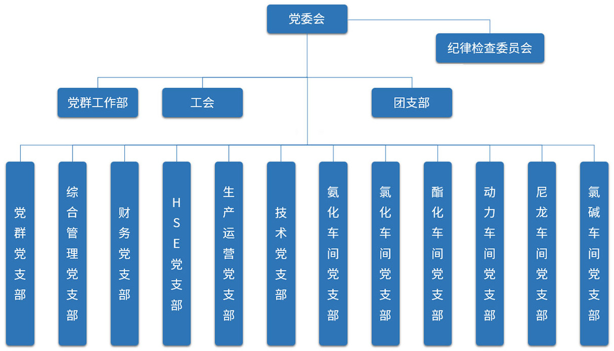 黨建紀檢 黨建紀檢