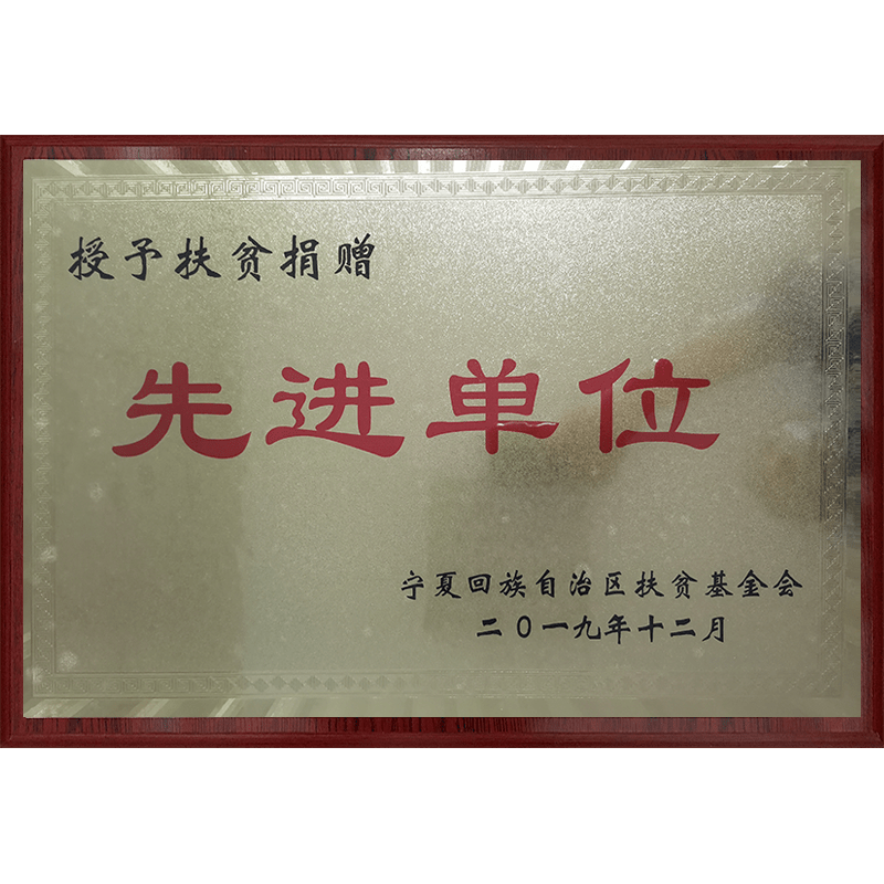 扶貧捐贈先進單位