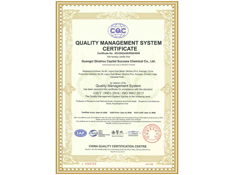 Quality Management System Certificate (English version)