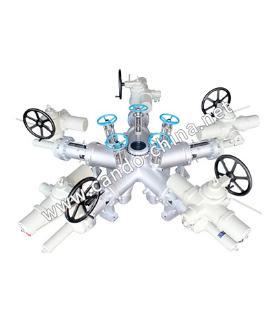Five Way Polymer Valve