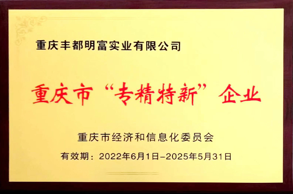 重庆市专精特新企业
