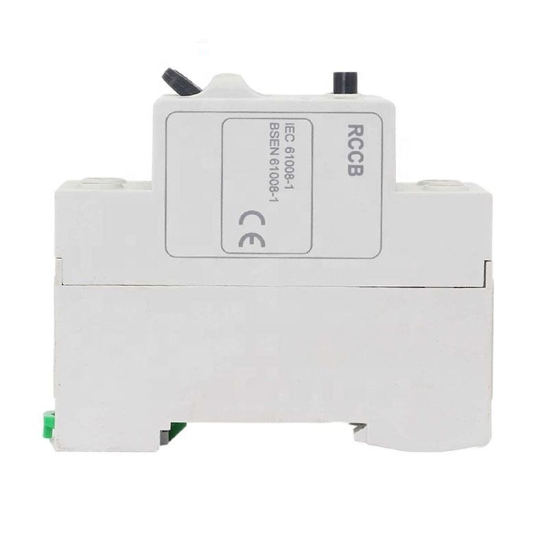 AC Residual Current Circuit Breaker 2 Pole 3p RCCB RCBO ELCB MCB RCB Miniature Circuit Device