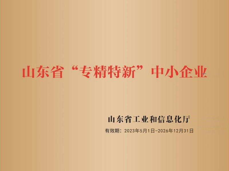 Shandong Province "specialized special new" small and medium-sized enterprises
