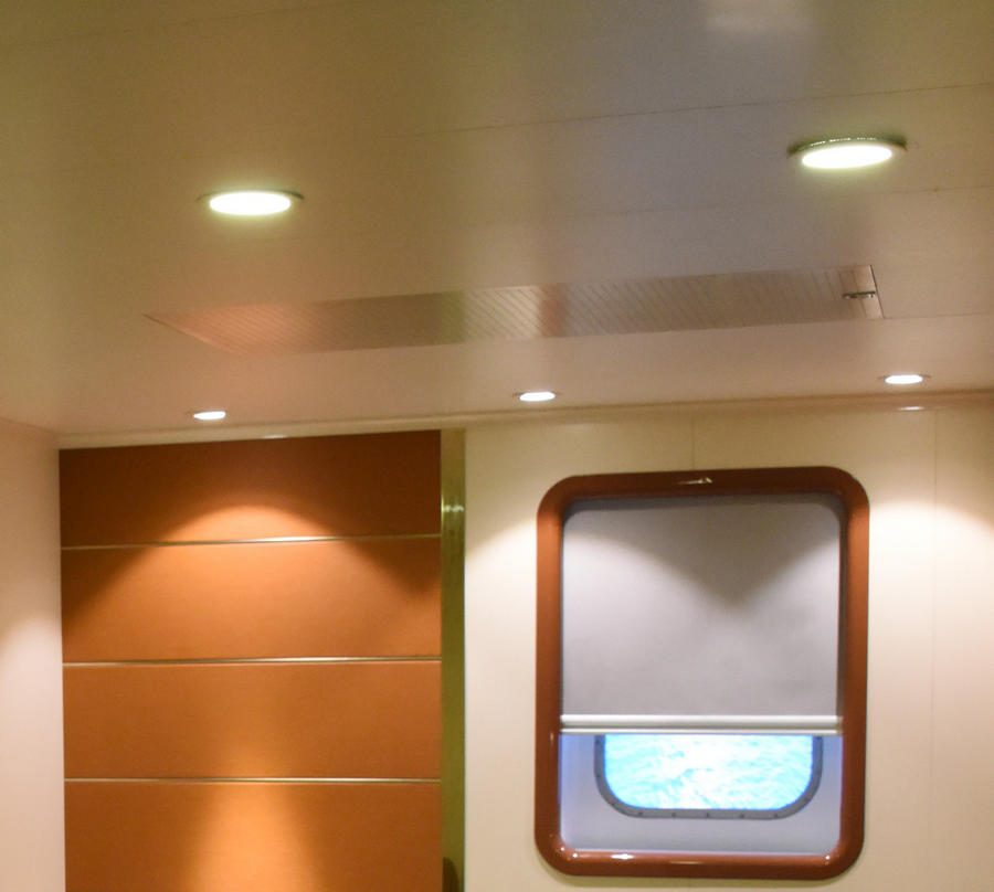 Ceiling Panel