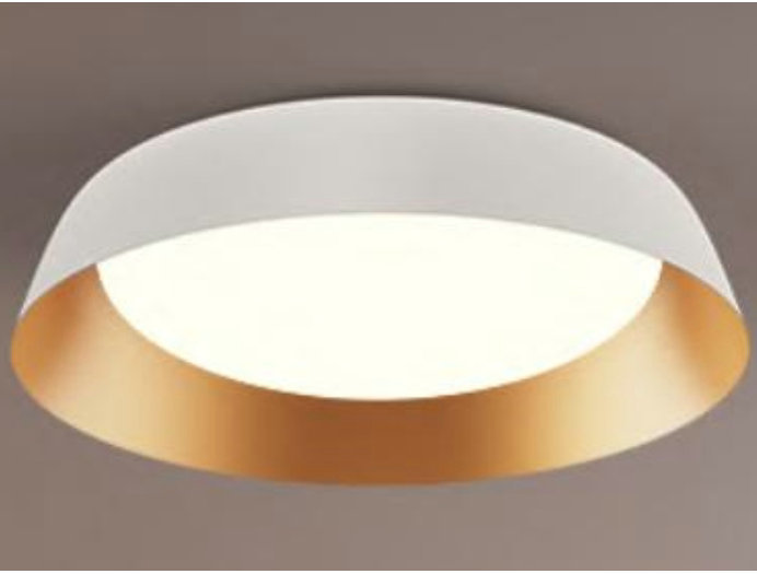 CEILING LIGHT