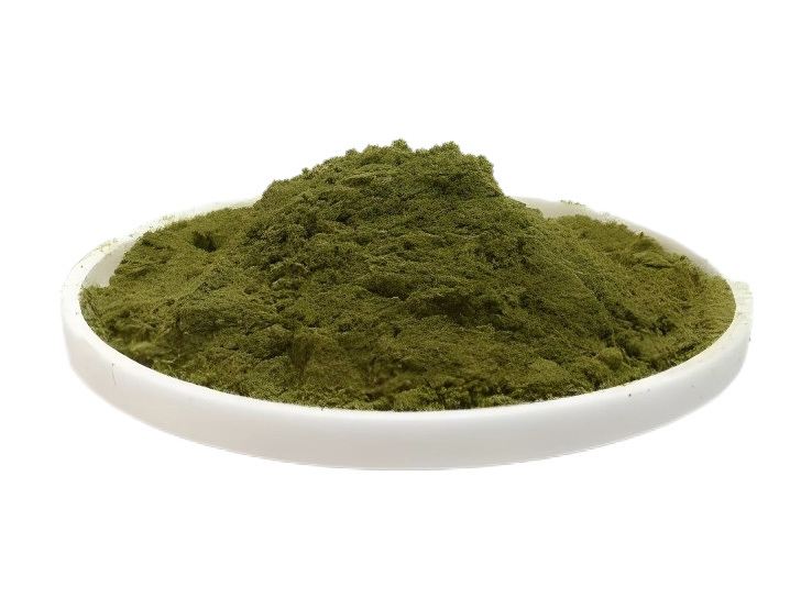 Euglena Gracilis Powder