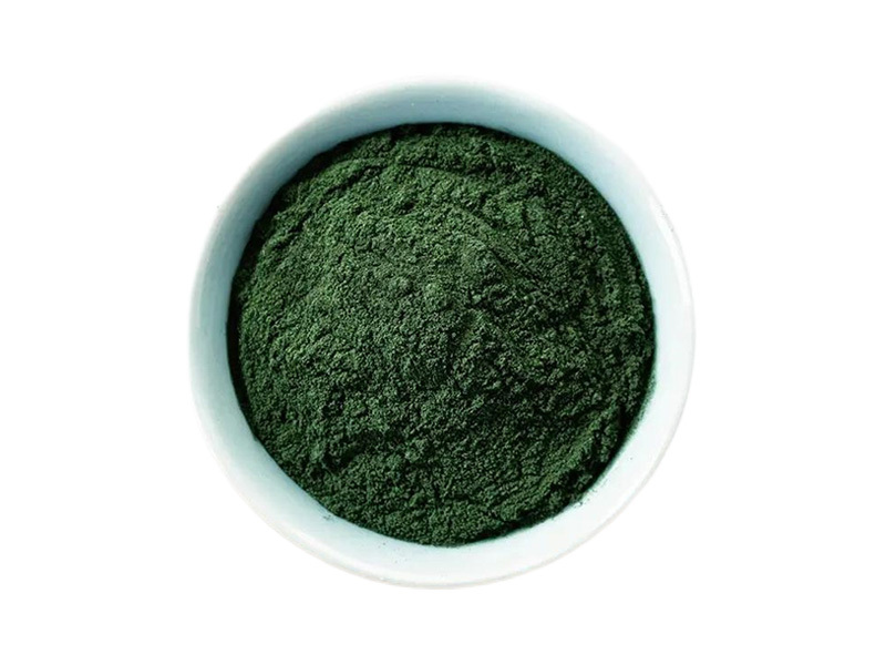 Quality Nannochloropsis Gaditana Powder: Boosting Your Daily Nutrition for Optimal Health