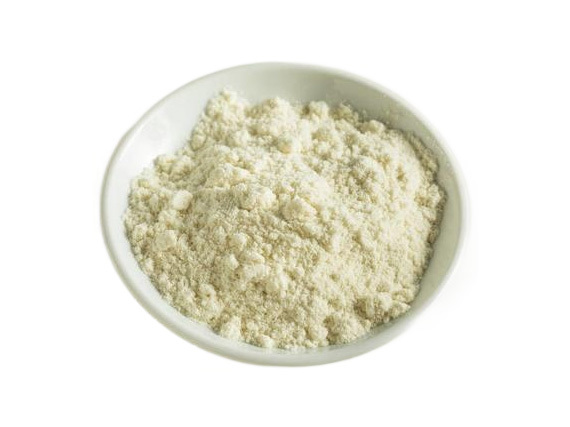 Understanding Paramylon Powder: Insights on Its Uses and Benefits
