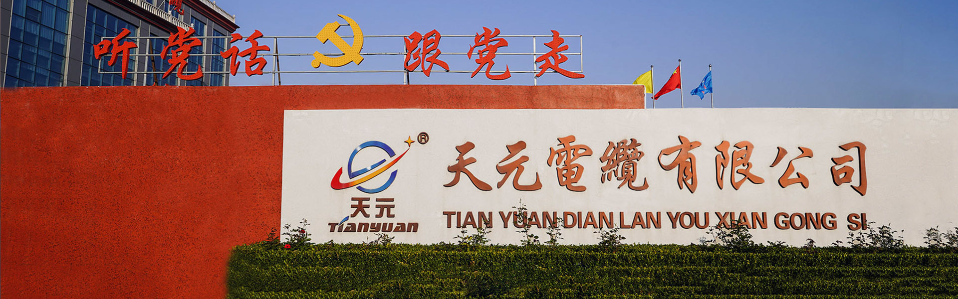 关于天元