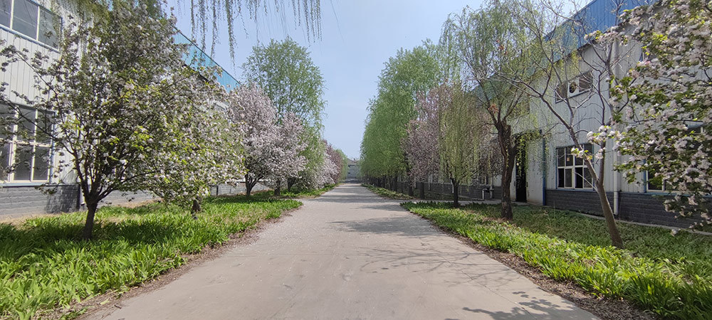 厂容厂貌