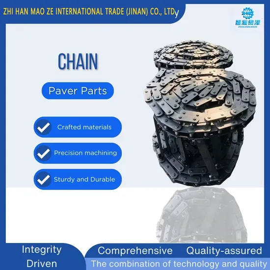 Scraper Big Chain Asphalt Paver Conveyor Chains for 3-DTU95c