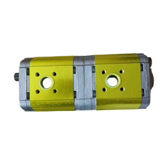 80742190 Duplex Gear Pump, Asphalt Paver Parts, Paver Parts, Milling Machine Parts, Roller Parts