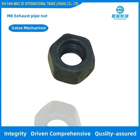 M8 Exhaust Pipe Nut for Roller Engine Parts