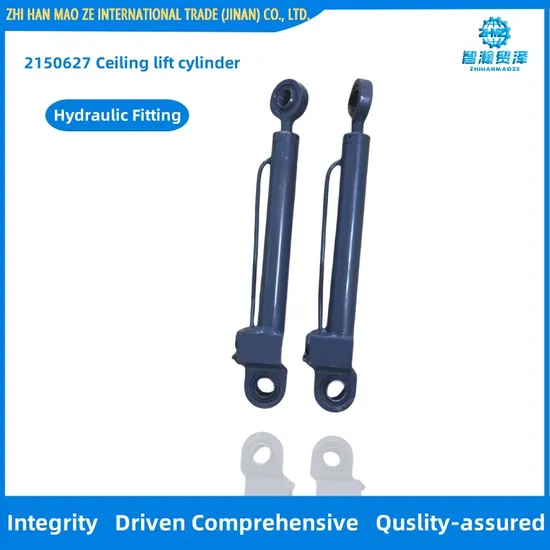 2150627 Ceiling Lift Cylinder Milling Machine Accessories for W200, W210, W150, W220
