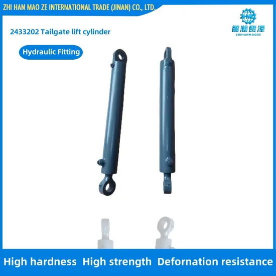2433202 Tailgate Lift Cylinder Milling Accessories for W195, W215, W205, W2000