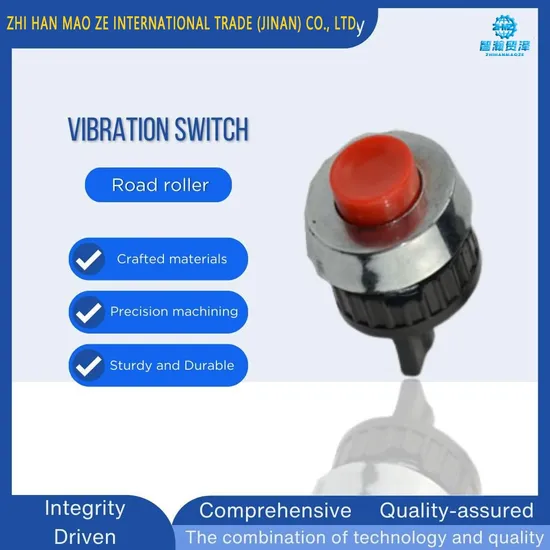 High-Quality Electrical Control Component Road Roller Parts Vibration Switch