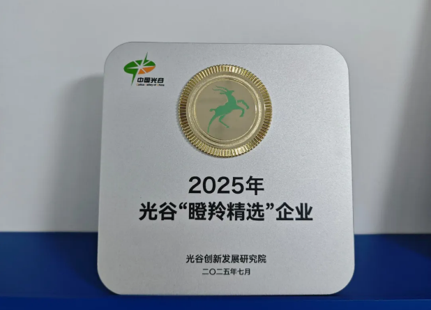 楚光三维入选 2025光谷“瞪羚精选”企业