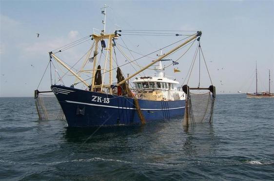 What is net fishing ?