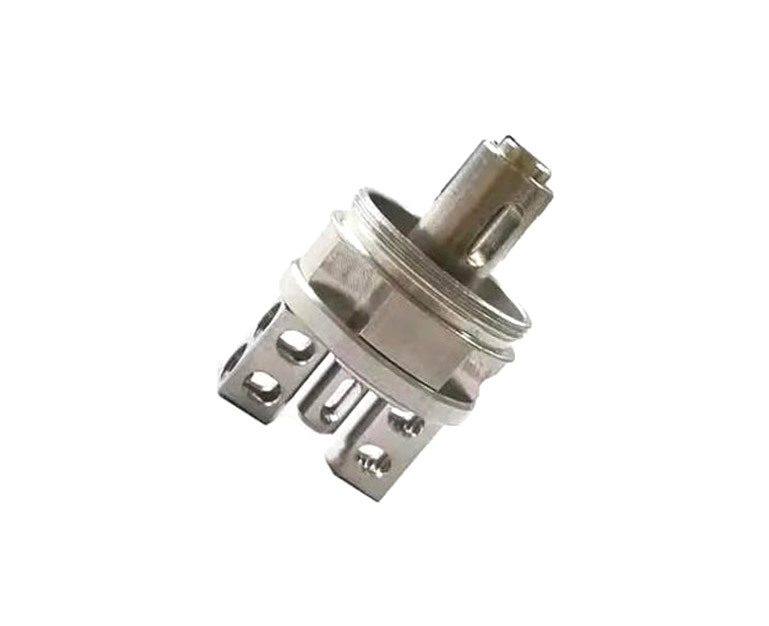 Non-standard Customized Processed Products