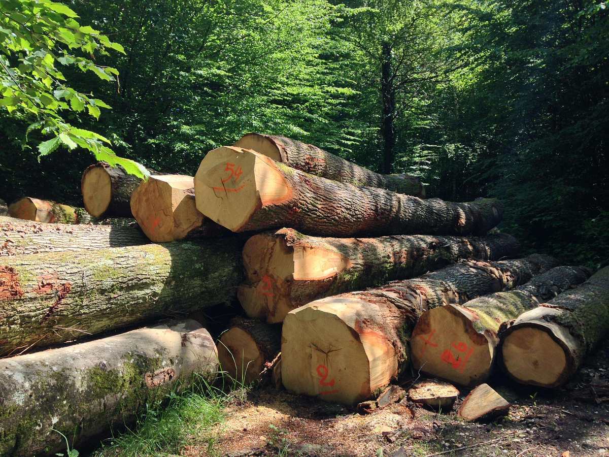 Ecological wood is pollution-free, harmless, and recyclable