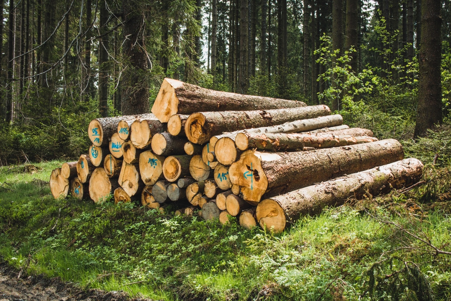 What type of preservative wood should we choose for outdoor flooring?