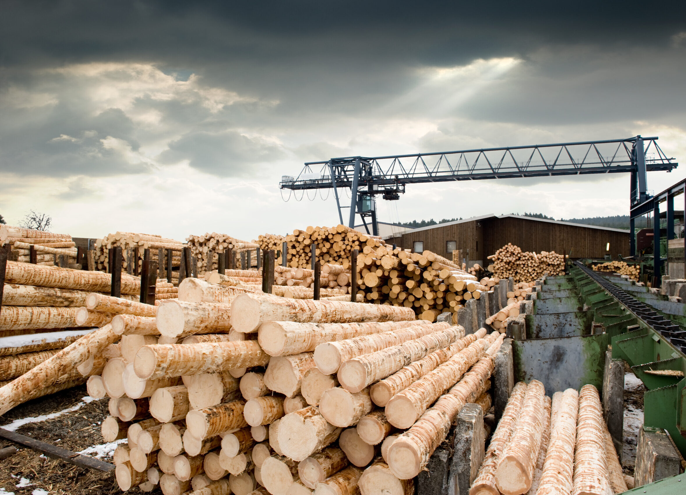 How to Choose Construction Lumber