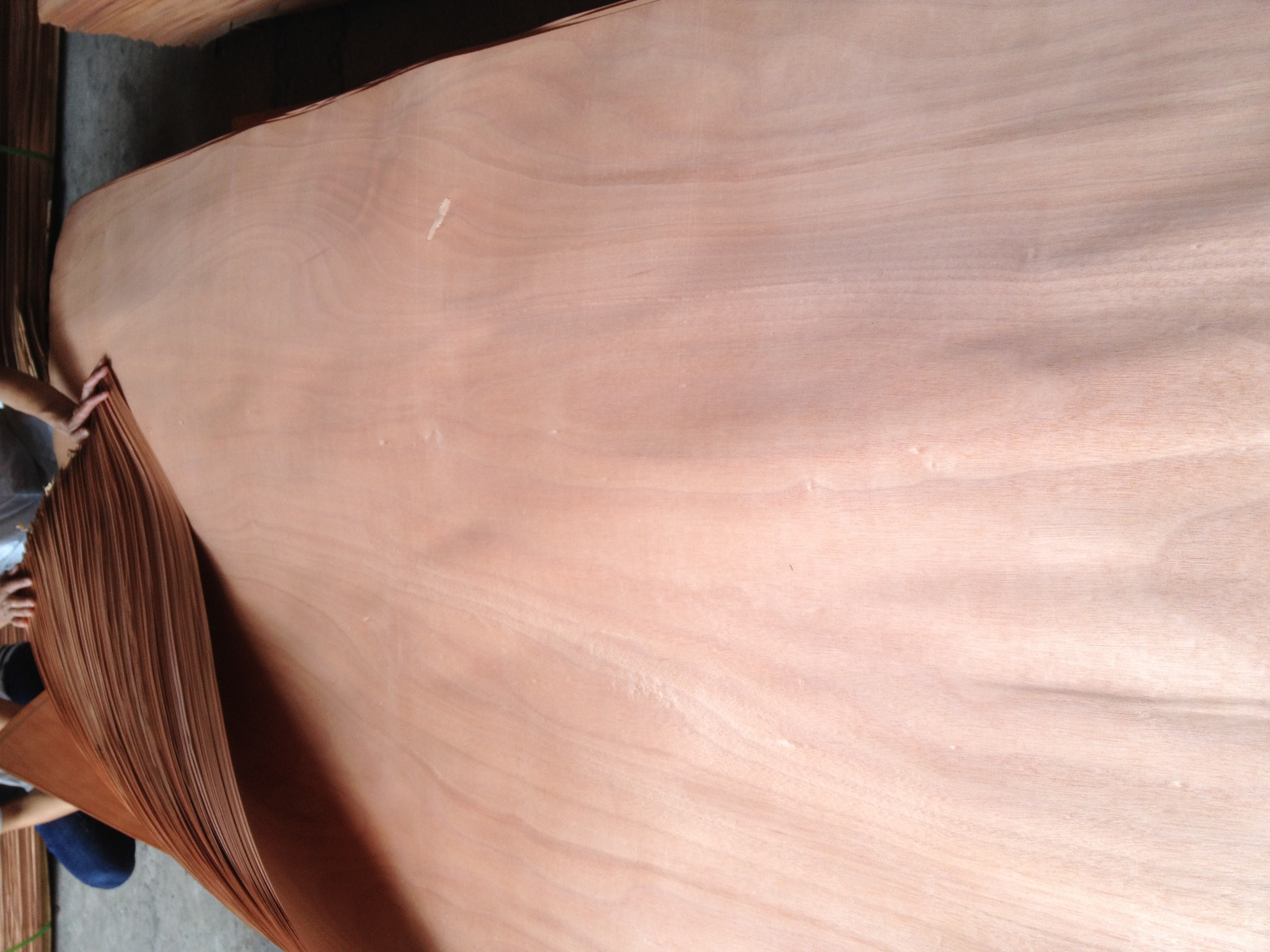 Exploring the Use of Plywood in Musical Instrument Making