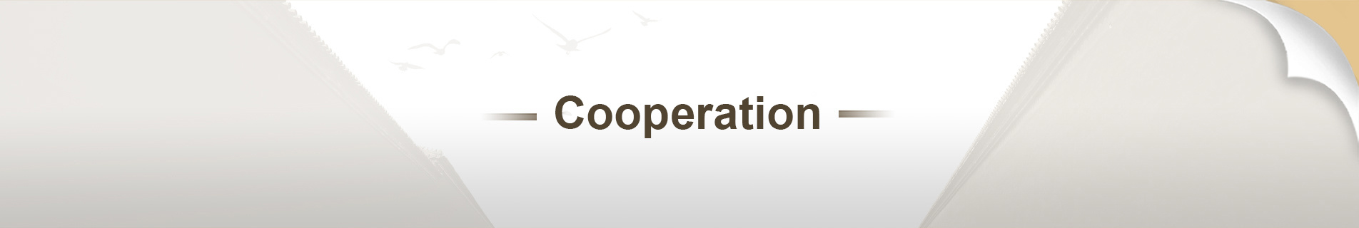 Cooperation