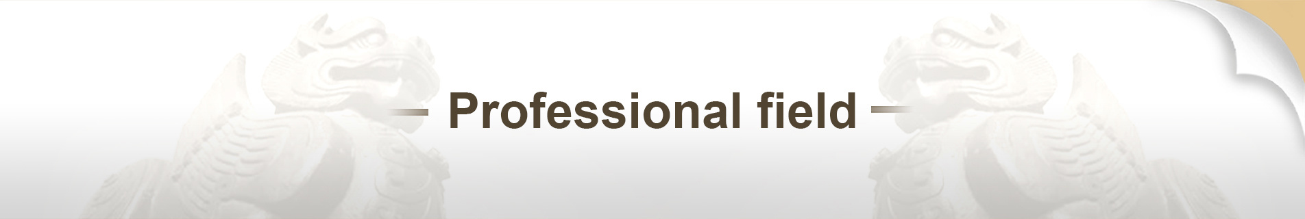 Professional field