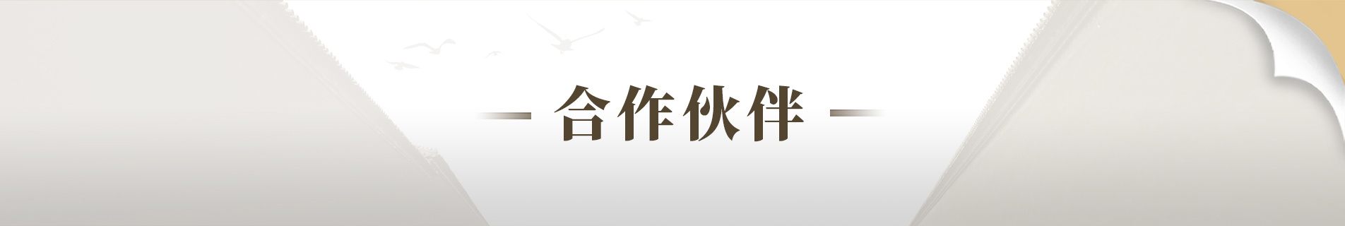 合作伙伴