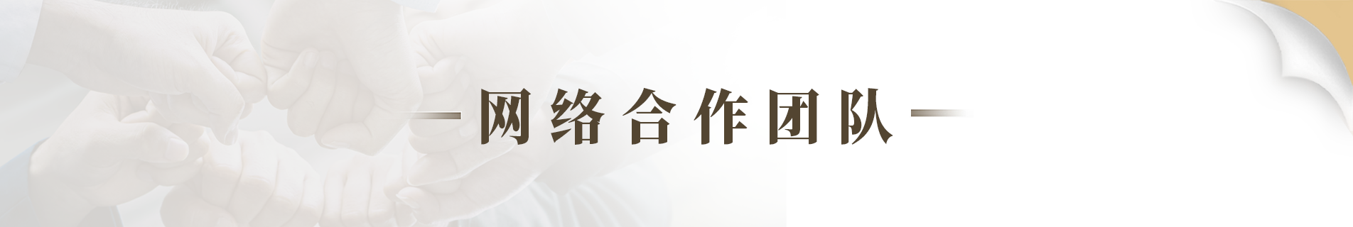 网络合作团队