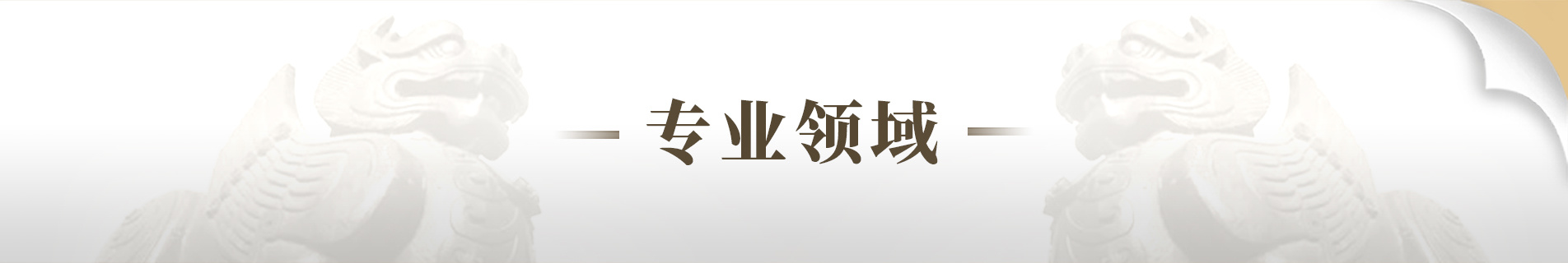 专业领域