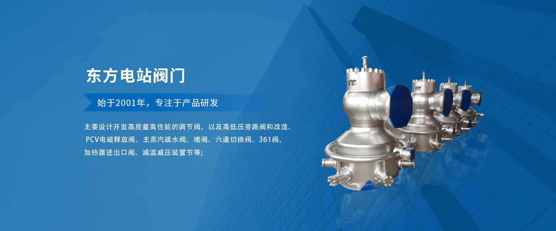 东方电站阀门