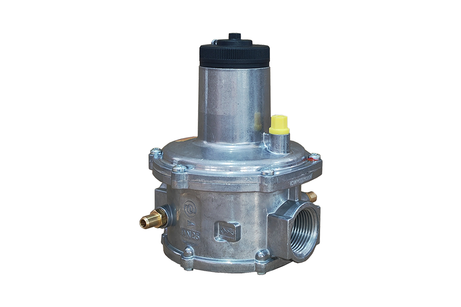 DPRV25