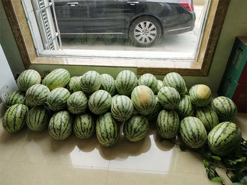 员工关爱