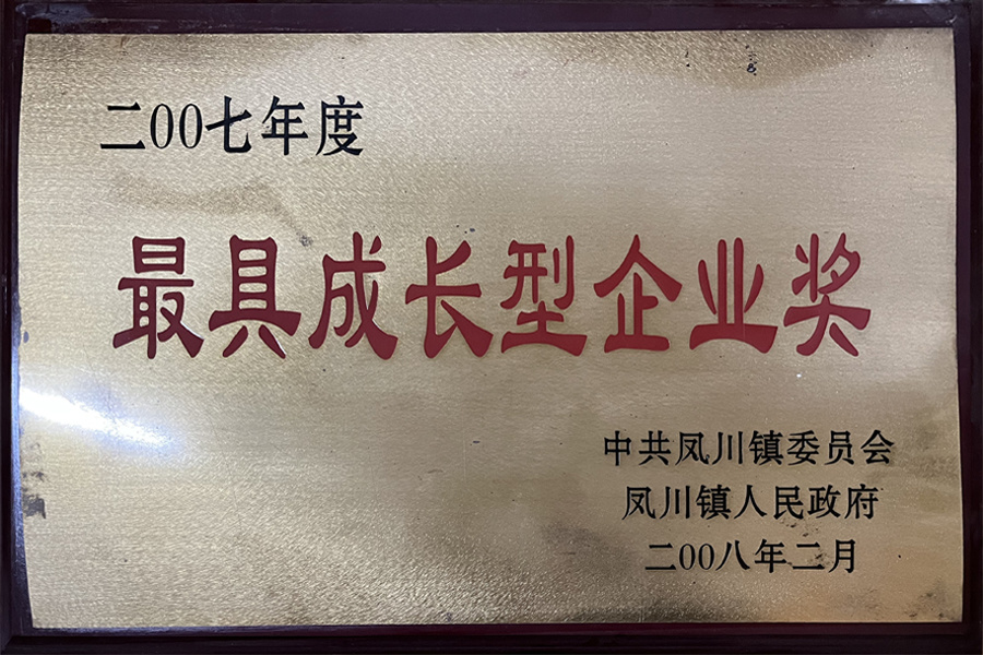 最具成长型企业奖